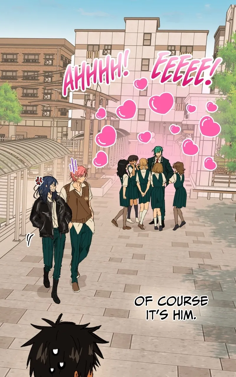 Read Superfish Manga Online