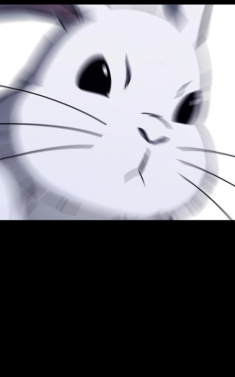 Read The Academy’s Sashimi Sword Master Manga Online