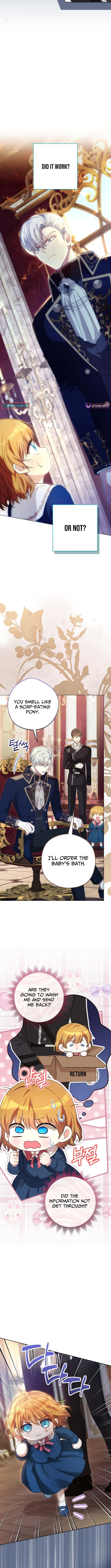 Read The Baby Raising A Devil Manga Online