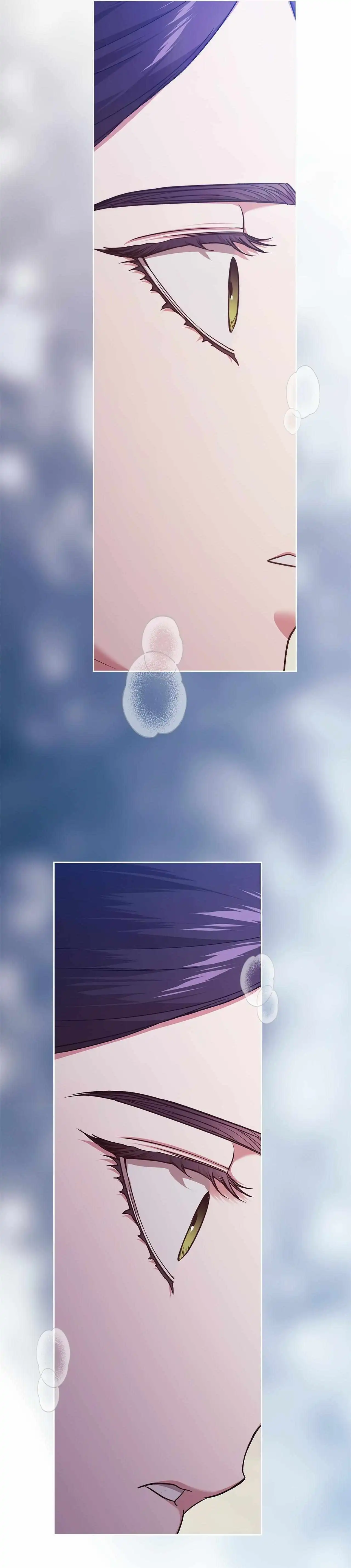 Read The Broken Ring This Marriage Will Fail Anyway Manga Online