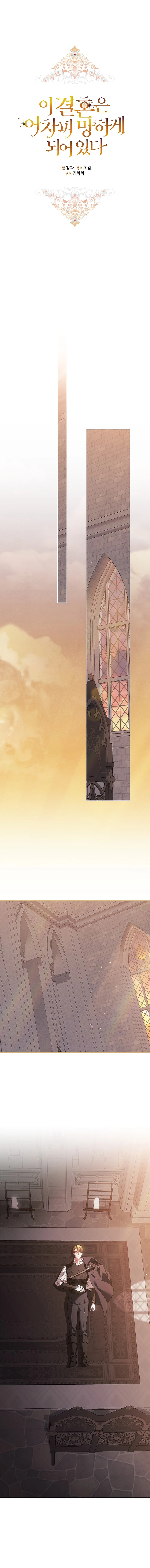 Read The Broken Ring This Marriage Will Fail Anyway Manga Online