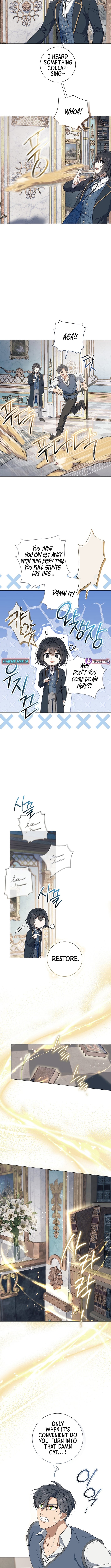 Read The Magic Lord Manga Online