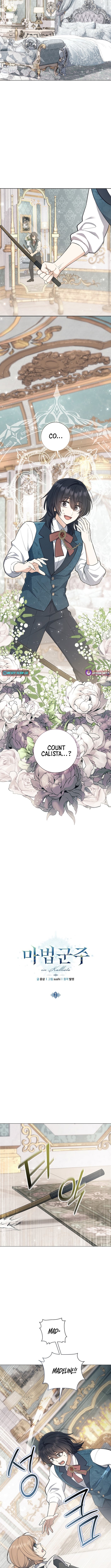 Read The Magic Lord Manga Online