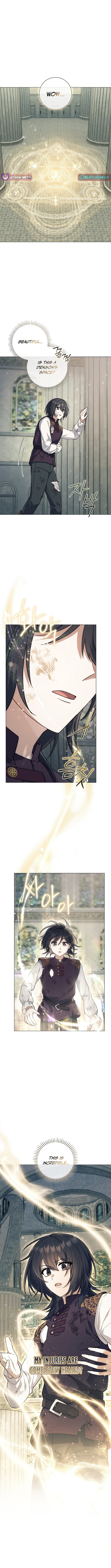 Read The Magic Lord Manga Online