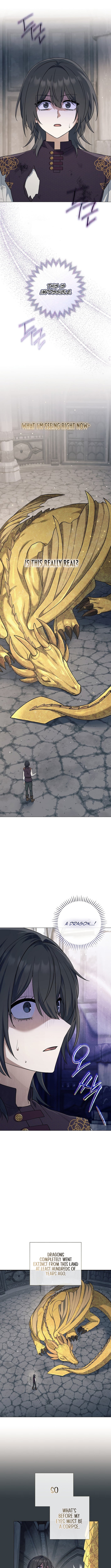 Read The Magic Lord Manga Online