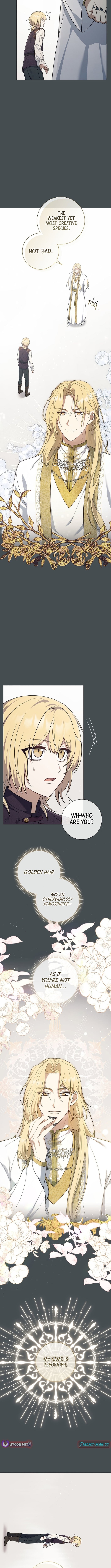 Read The Magic Lord Manga Online