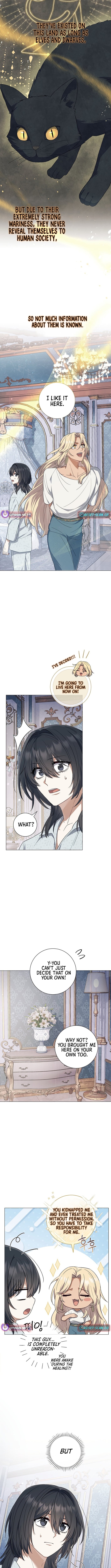 Read The Magic Lord Manga Online