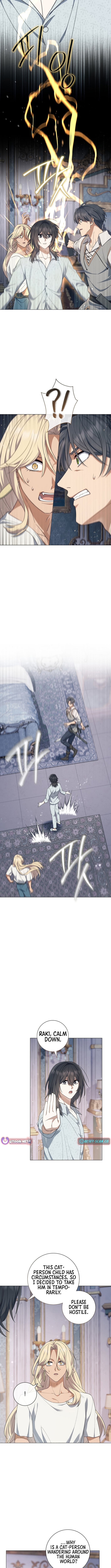 Read The Magic Lord Manga Online