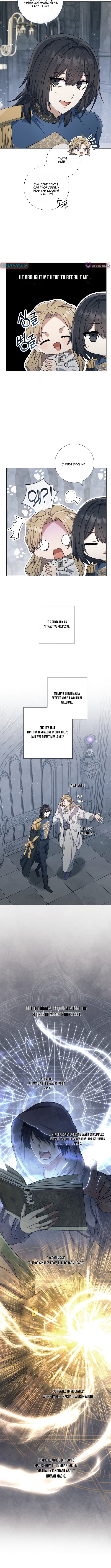 Read The Magic Lord Manga Online