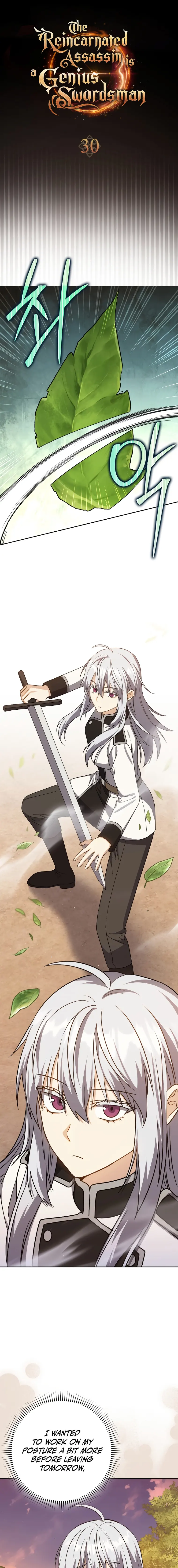 Read The Reincarnated Assassin is a Genius Swordsman Manga Online