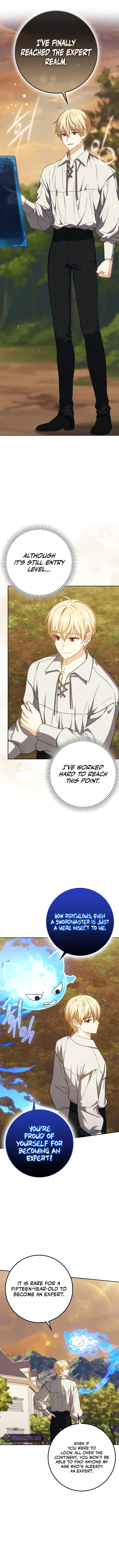 Read The Reincarnated Assassin is a Genius Swordsman Manga Online