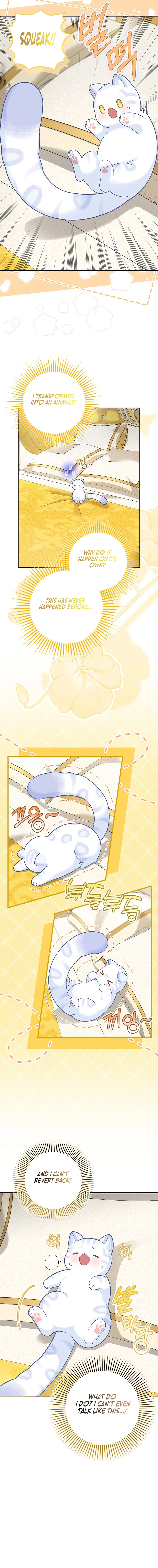 Read The Snow Leopard Baby of the Black Leopard Family Manga Online