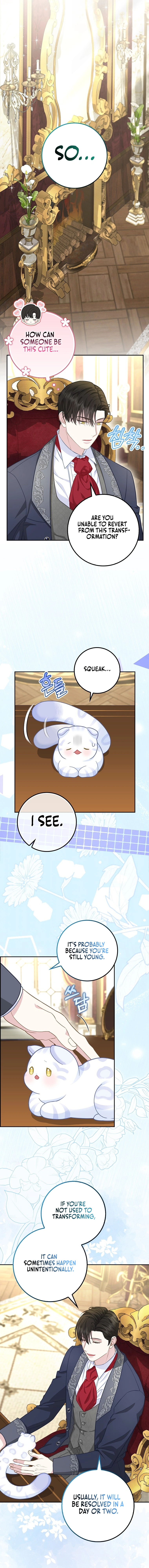 Read The Snow Leopard Baby of the Black Leopard Family Manga Online