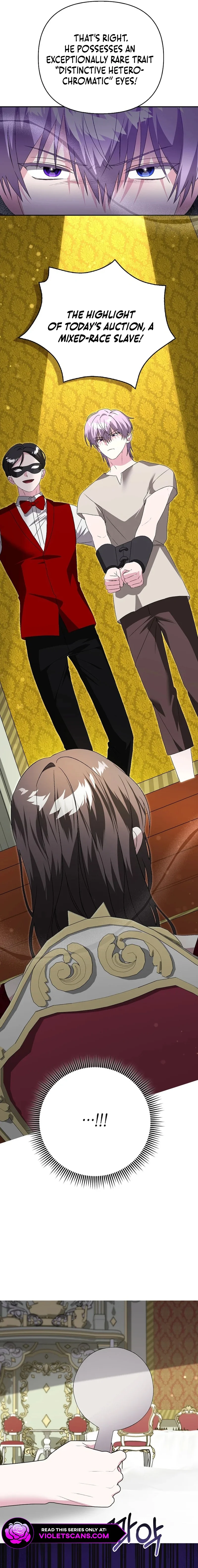 Read The Villainess Hides Her Wealth Manga Online