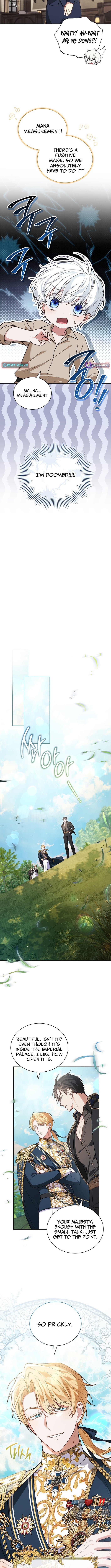 Read The Youngest Has Many Secrets Manga Online