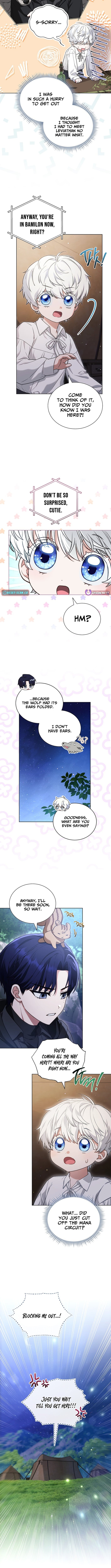 Read The Youngest Has Many Secrets Manga Online