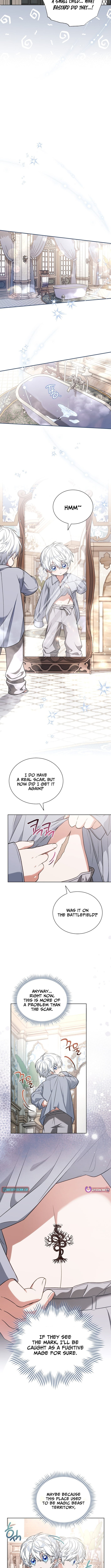 Read The Youngest Has Many Secrets Manga Online