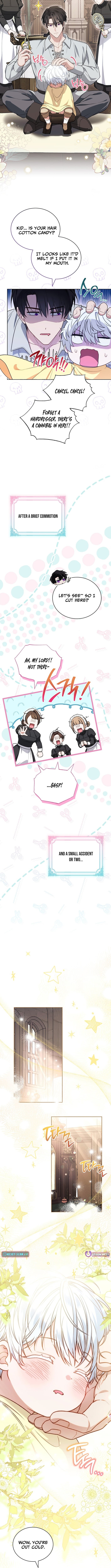 Read The Youngest Has Many Secrets Manga Online