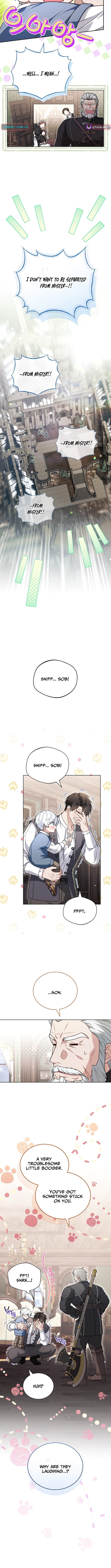 Read The Youngest Has Many Secrets Manga Online