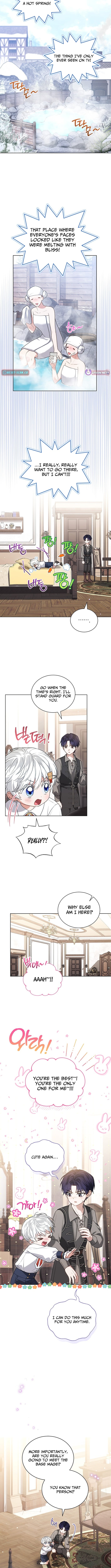 Read The Youngest Has Many Secrets Manga Online