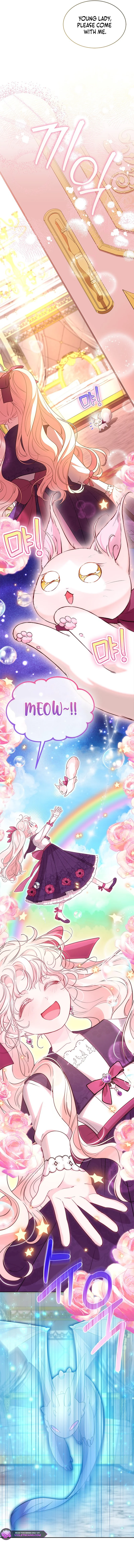 Read Why Are You Obsessed When Reject Your Favor Manga Online