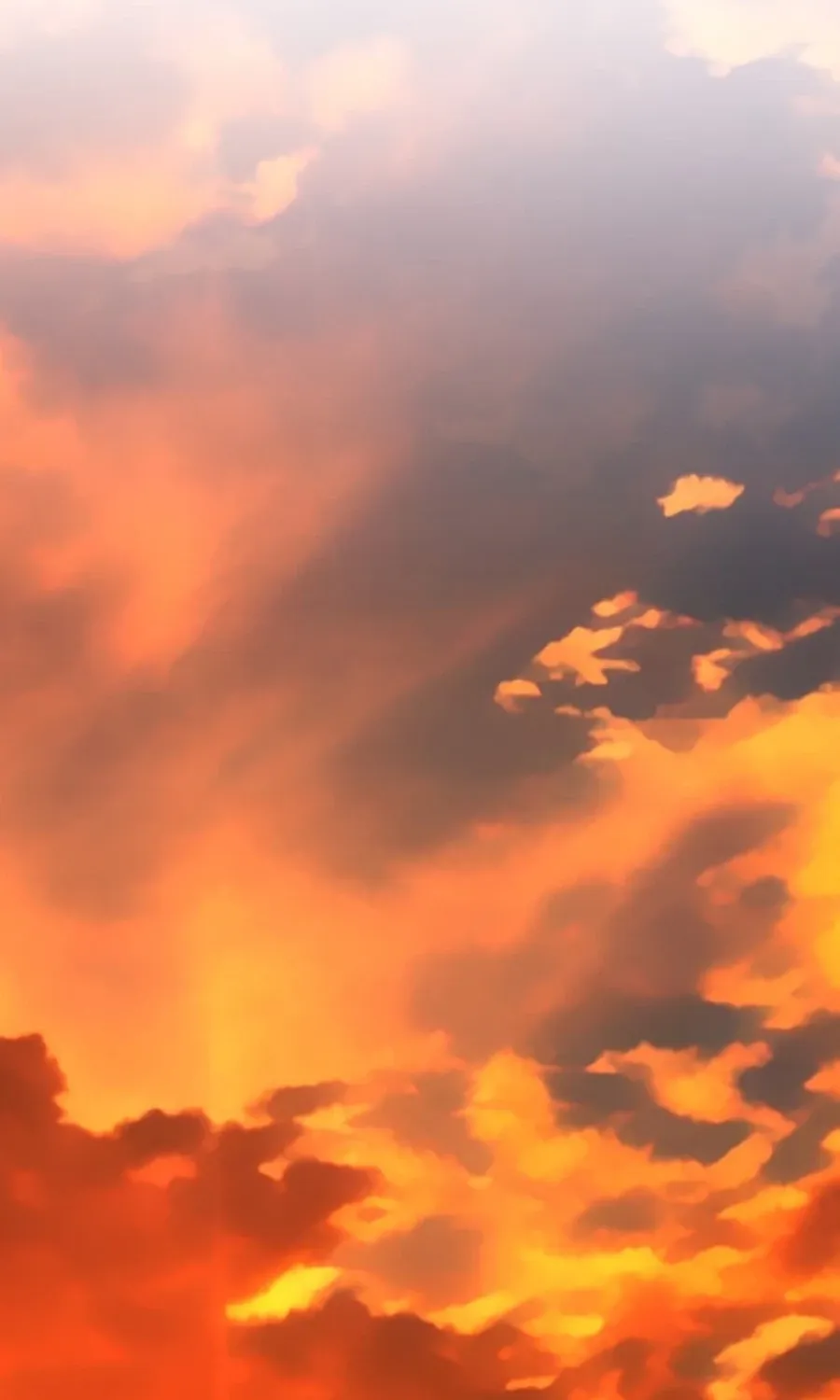 Read Widower - Manhwa Manga Online