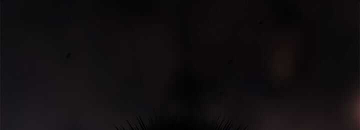 Read Chronicles of the Demon Faction Scan Manga Online