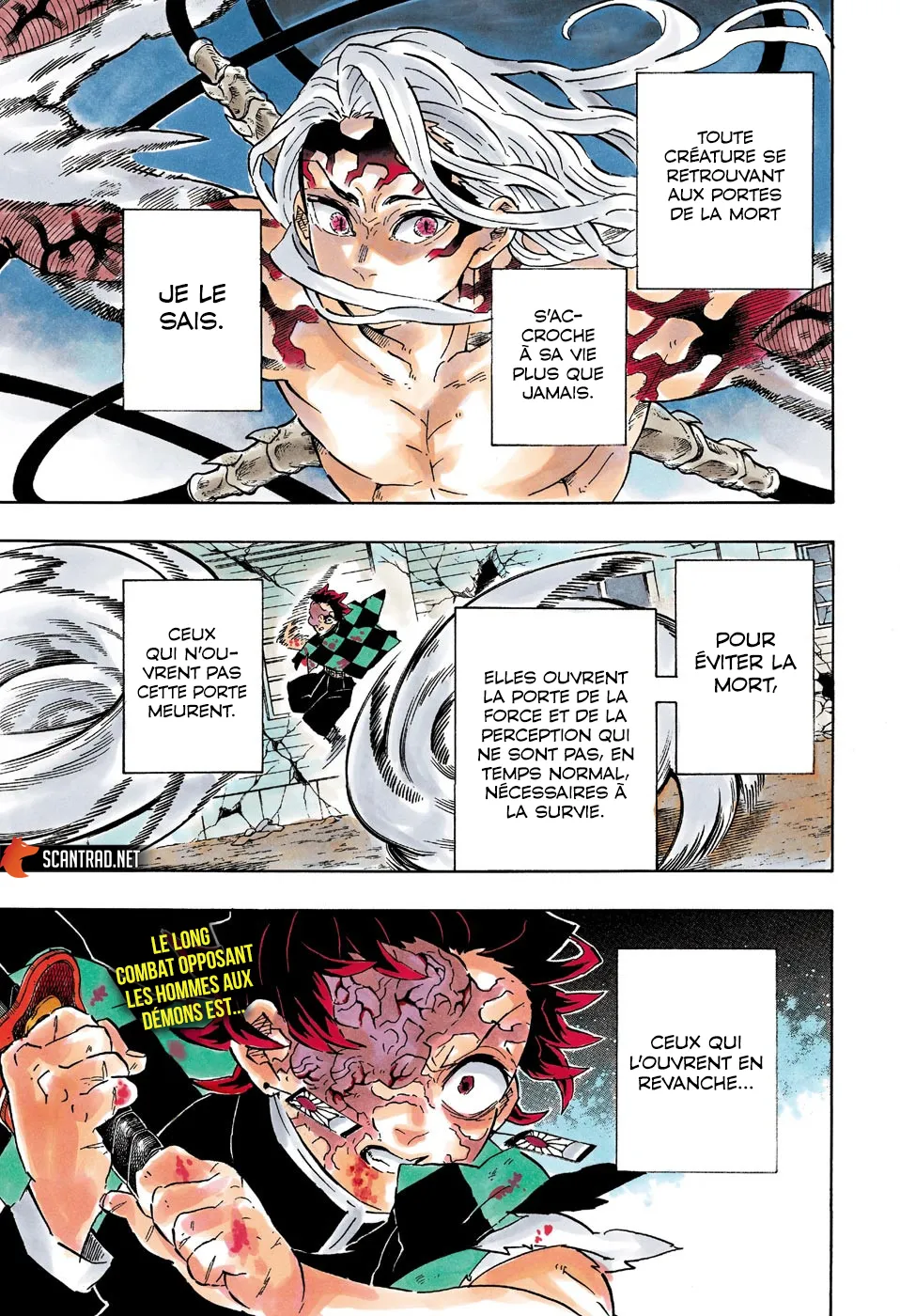 Read Kimetsu No Yaiba Scan Manga Online