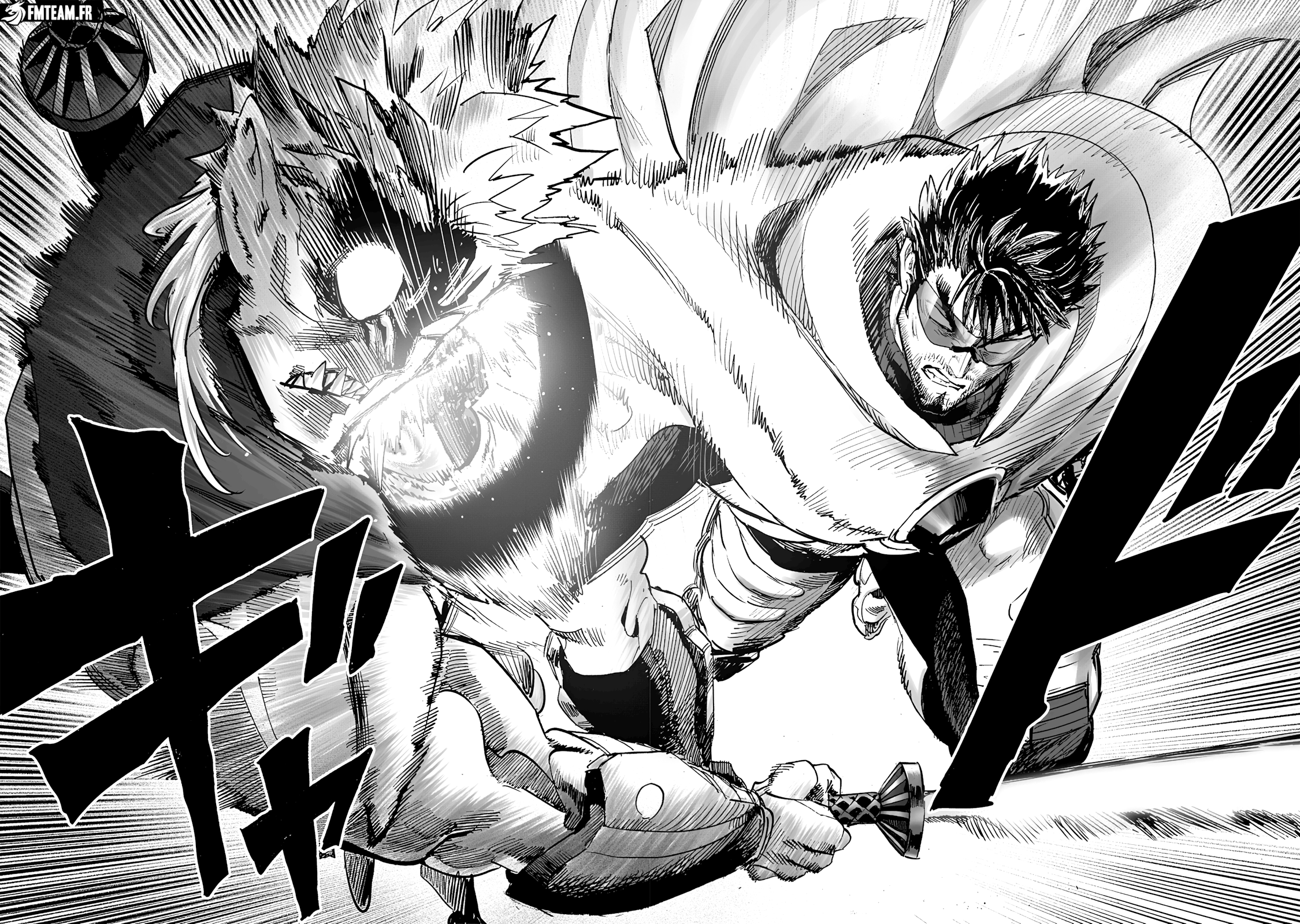 Read One Punch Man scan Manga Online