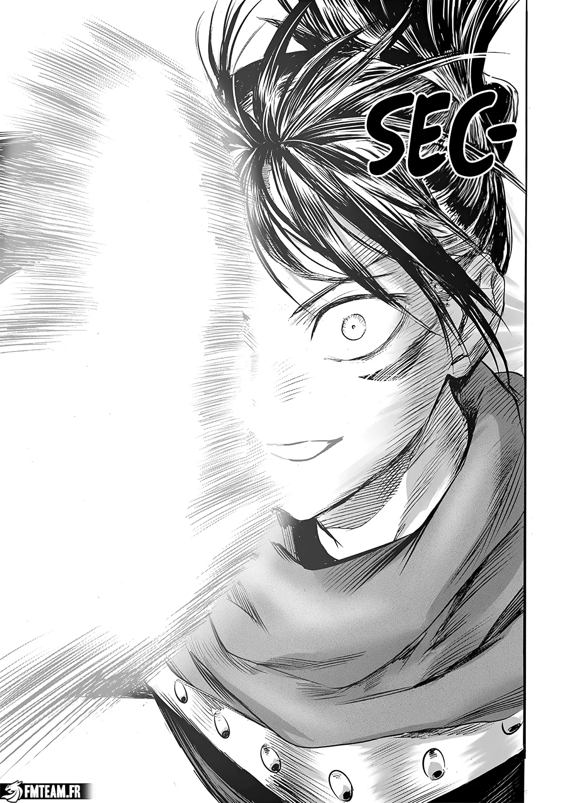 Read One Punch Man scan Manga Online