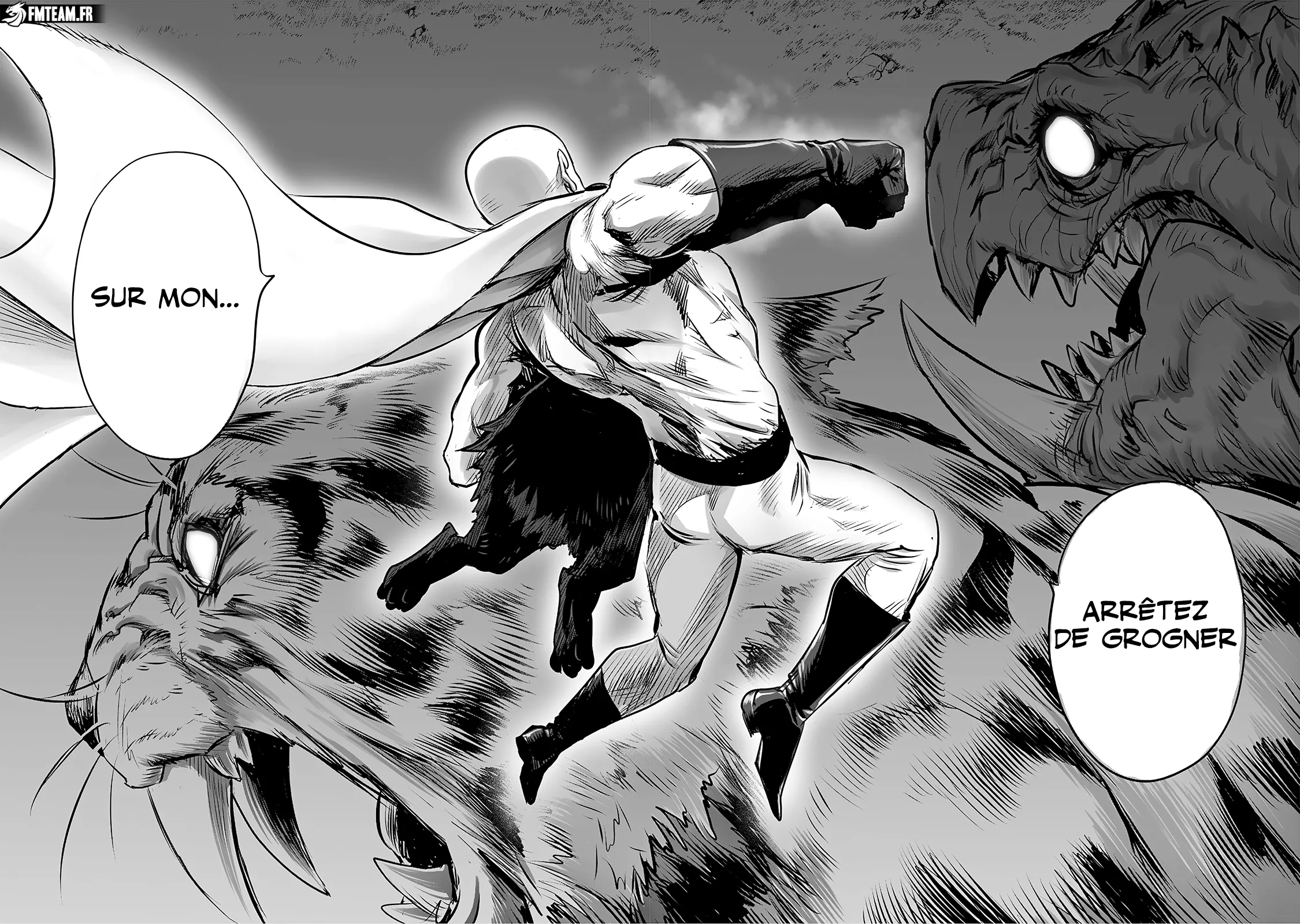 Read One Punch Man scan Manga Online