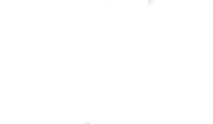 Read The Indomitable Martial King Scan Manga Online