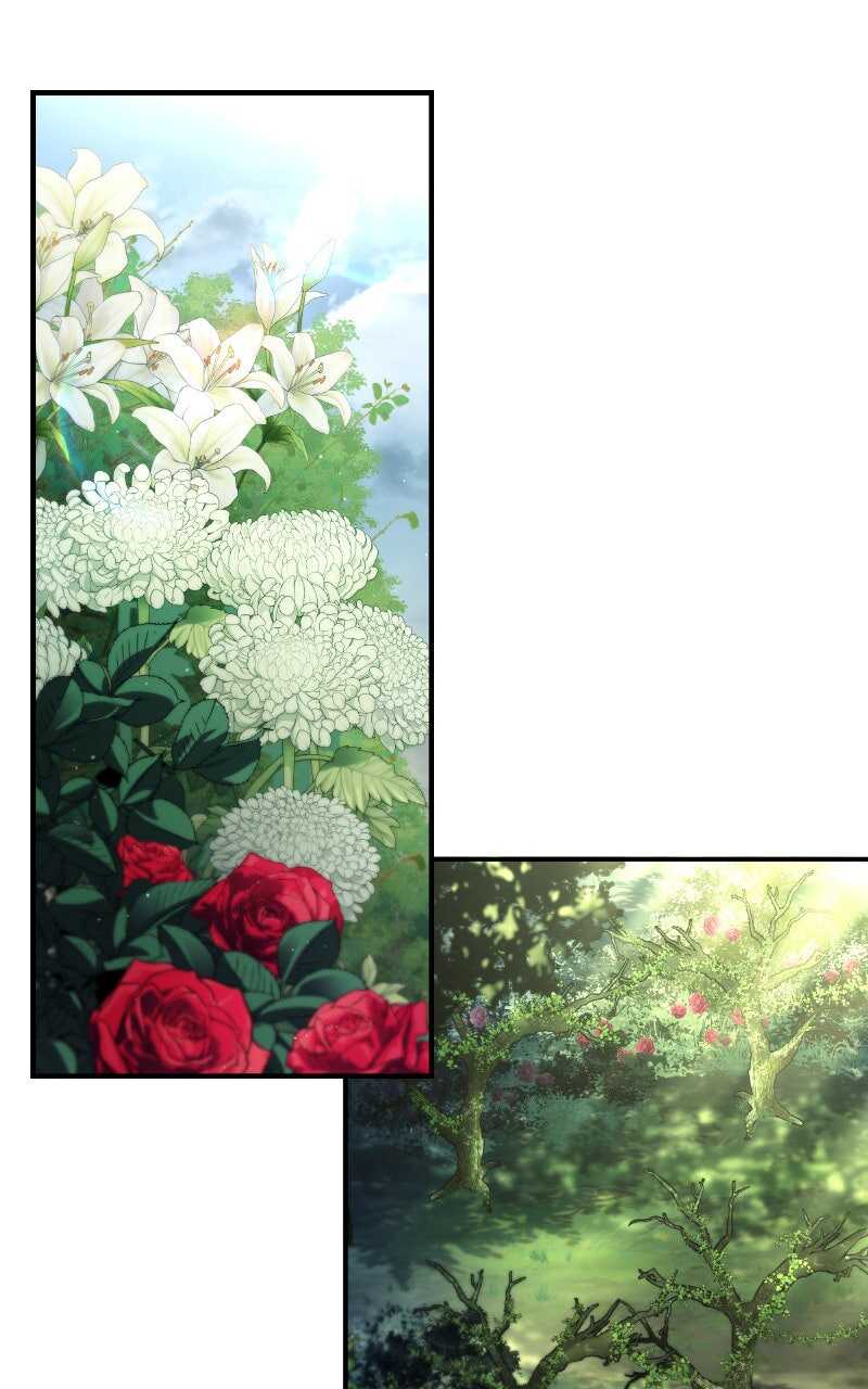 Read Trait Hoarder Scan Manga Online