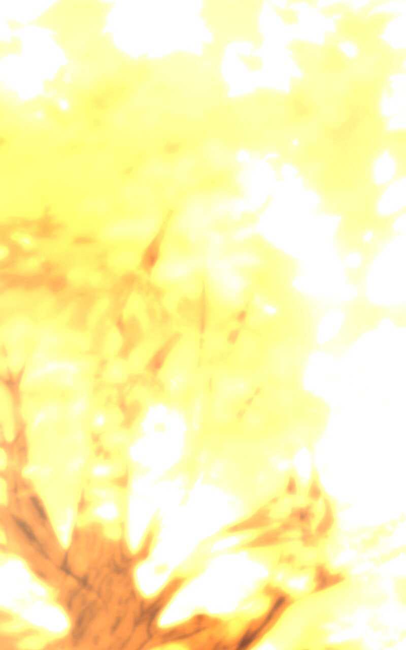 Read Trait Hoarder Scan Manga Online