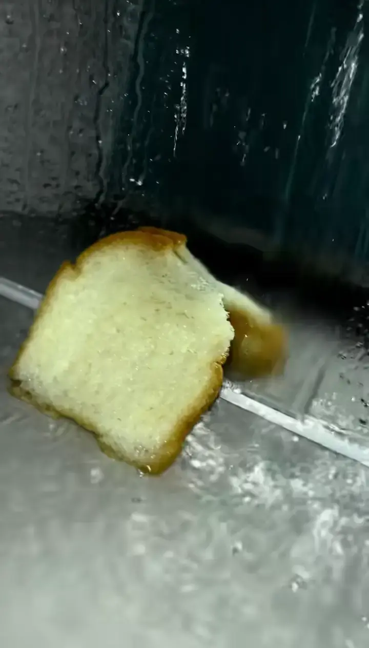 Read Dungeon Architect Pt Manga Online